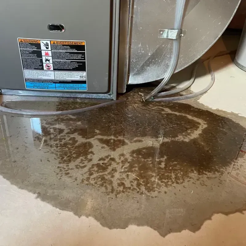 Appliance Leak Cleanup in Dogtown, CA